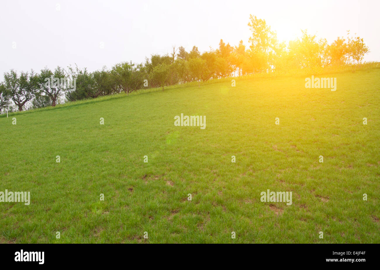 Lawn park park sun hi-res stock photography and images - Alamy