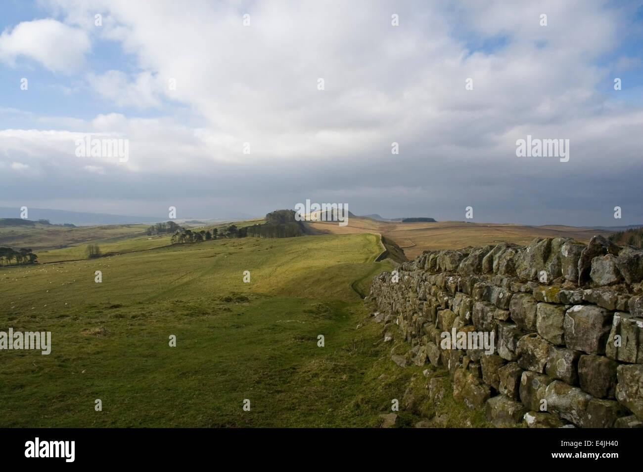 Hadrians Wall near Housesteads Stock Photo Alamy