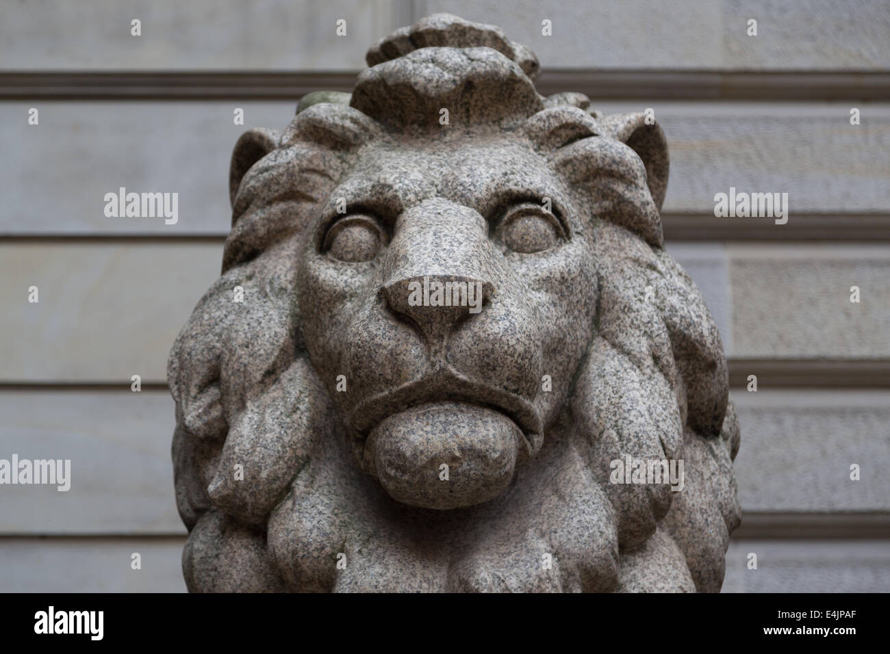 A close up photograph of a lion statue outside the Town Hall (Rathaus) in Hamburg. Stock Photo