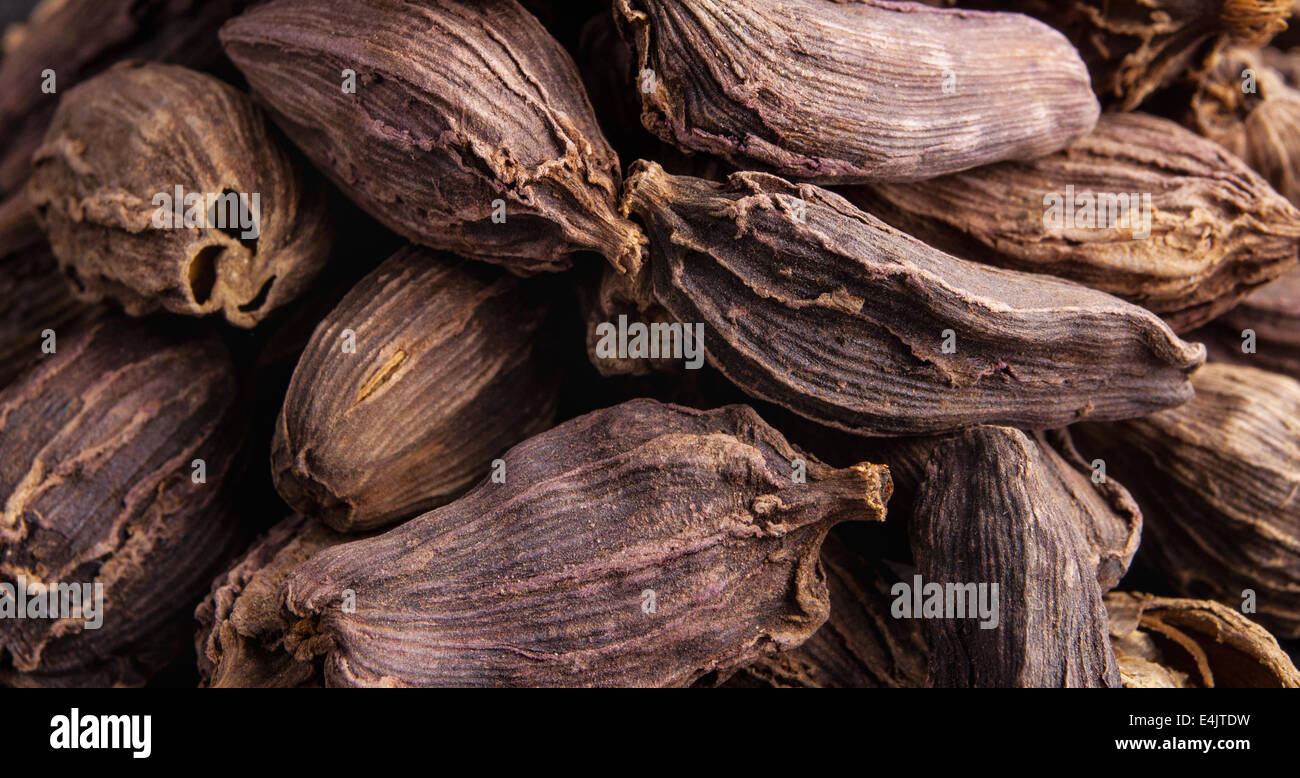 Black cardamom pods Stock Photo Alamy