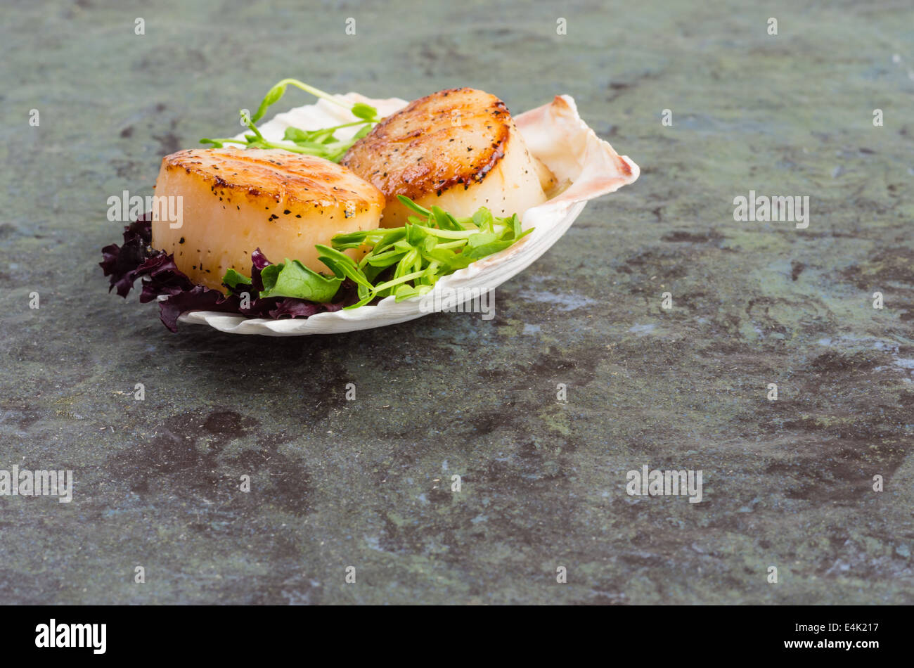 Sea scallops hires stock photography and images Alamy
