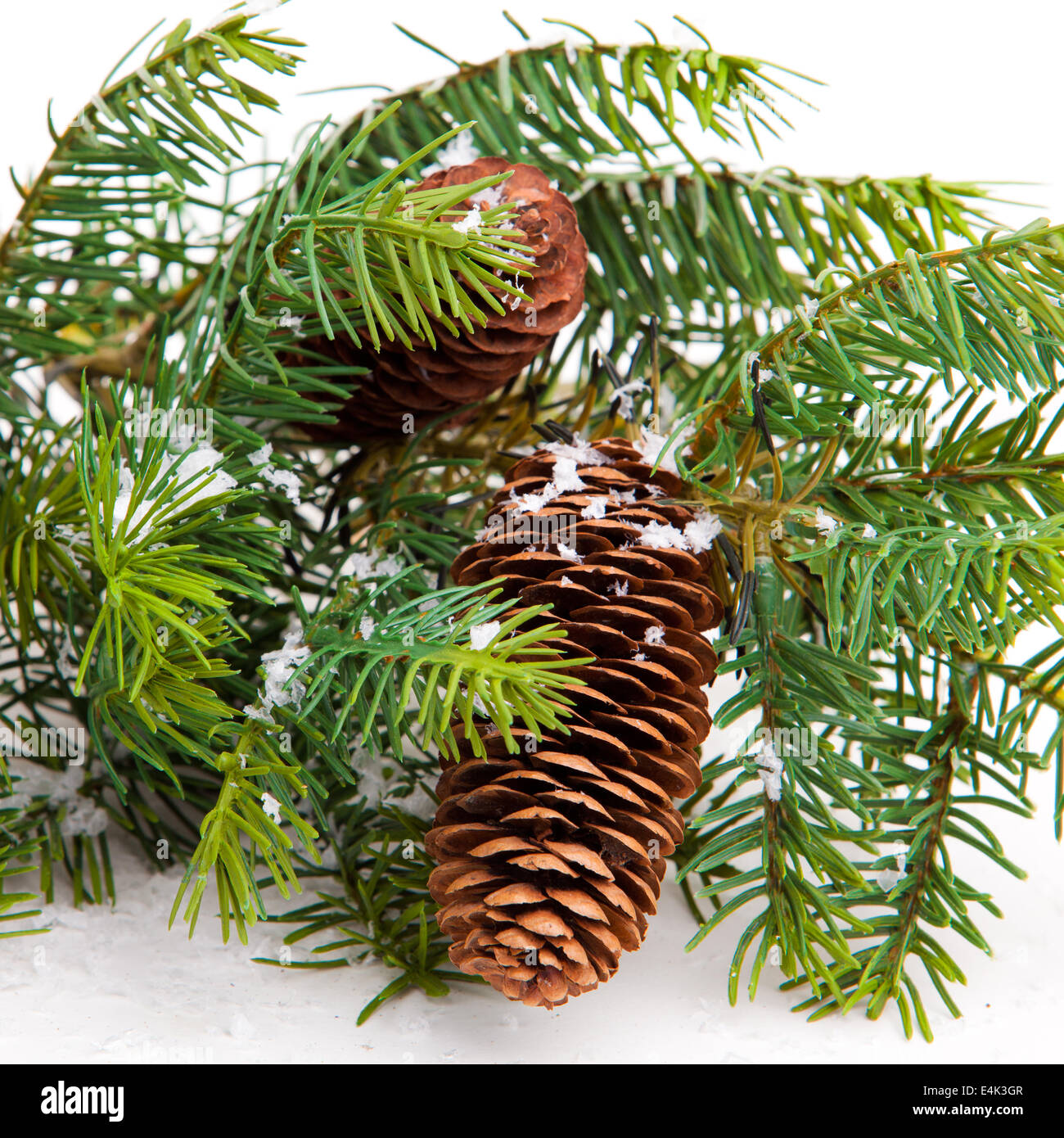 Cone and christmas tree isolated on white Stock Photo - Alamy