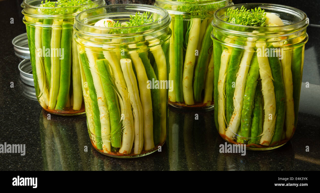 Fresh green and yellow beans being processed into jars for preserving