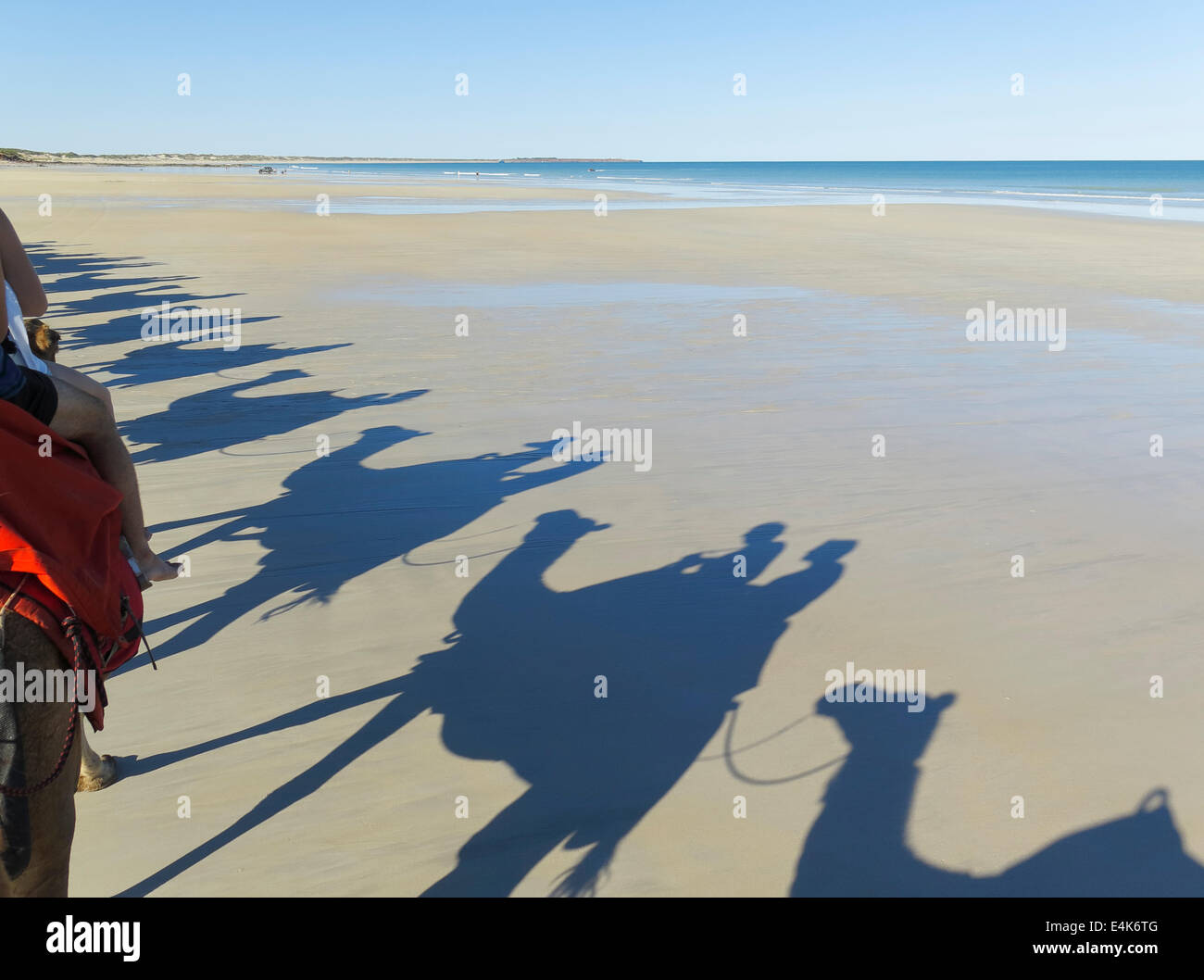 Shadows of a camel trian on Cable Beach in Broome, Western Australia Stock Photo