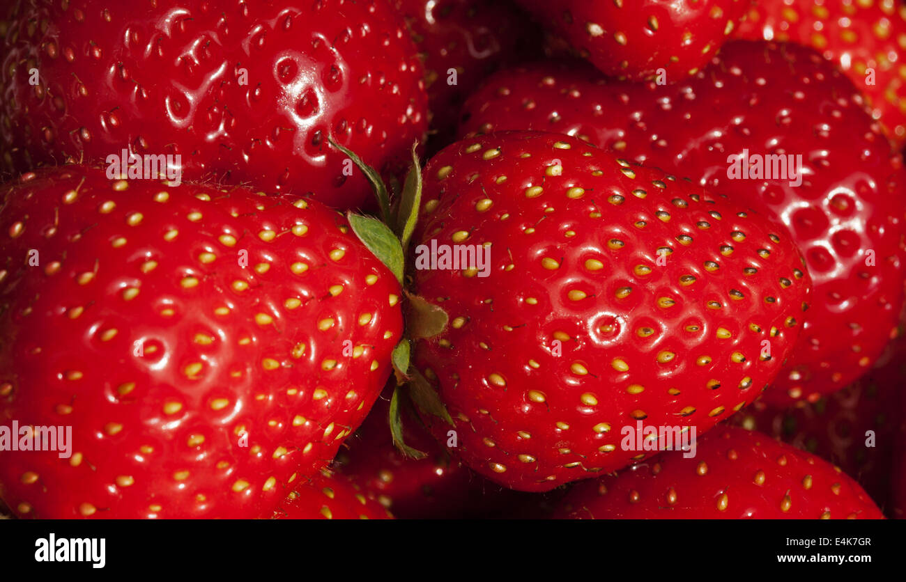 Background of luscious ripe red strawberries Stock Photo - Alamy