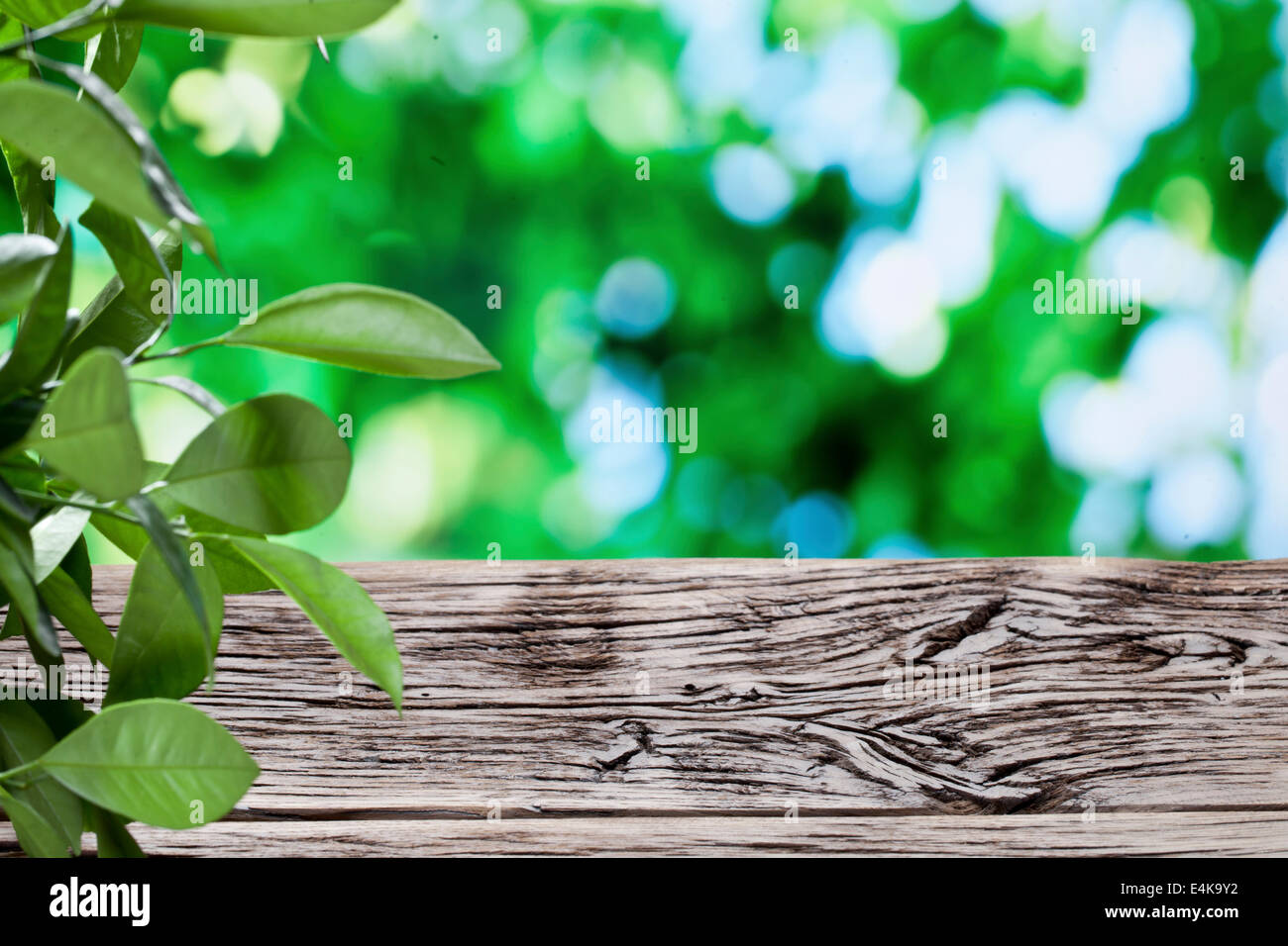 Old wooden table with green foliage background. Stock Photo