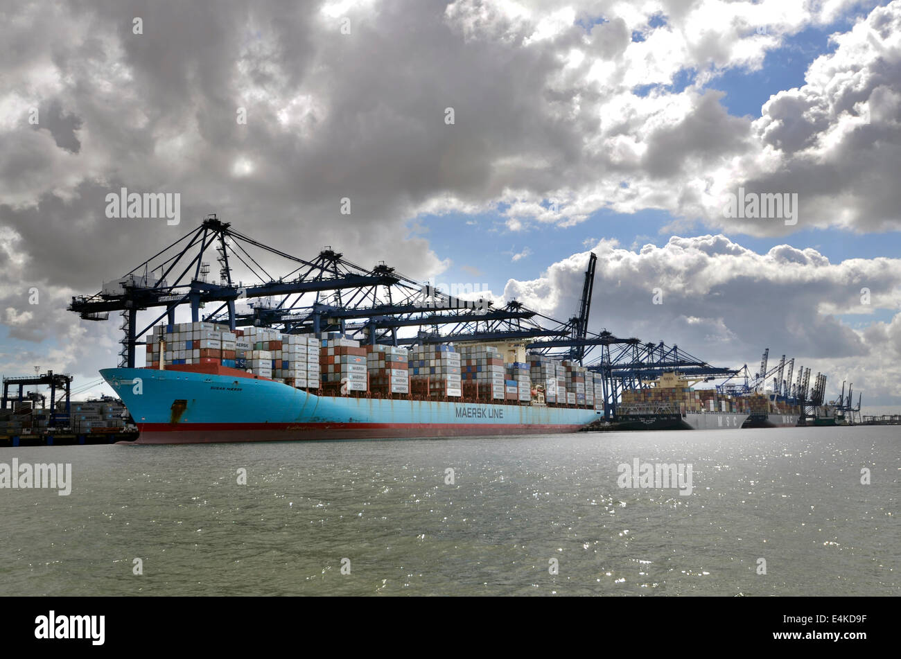 container ship unloading felixstowe docks suffolk uk Stock Photo