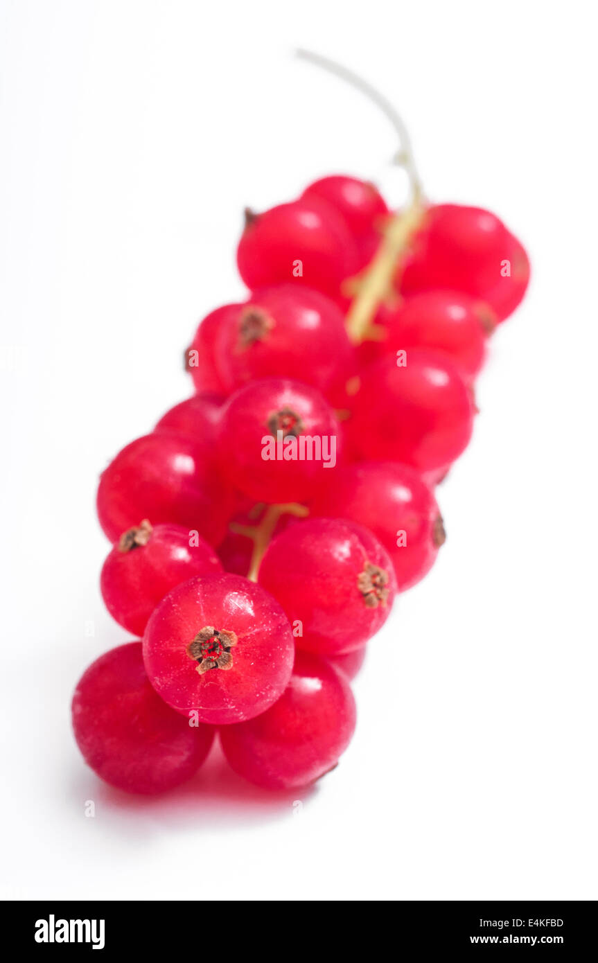 Blurred redcurrants berries Stock Photo