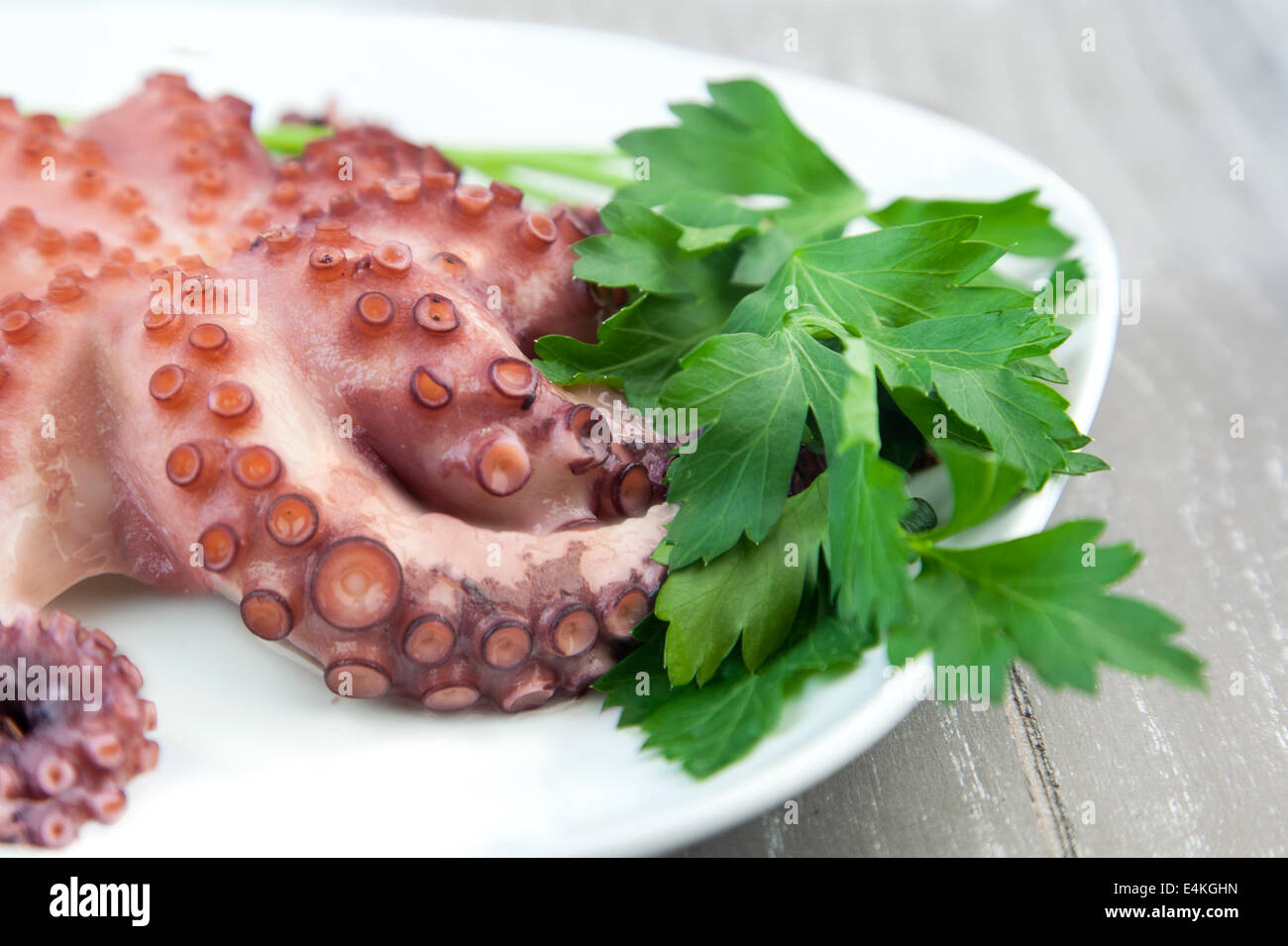Octopus and parsley leaves on a plate Stock Photo