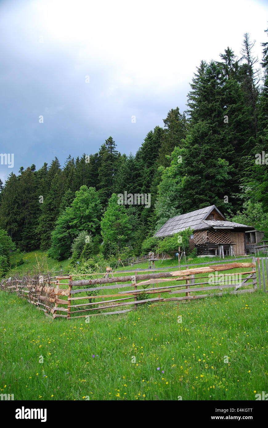lonely wooden house in forest Stock Photo - Alamy