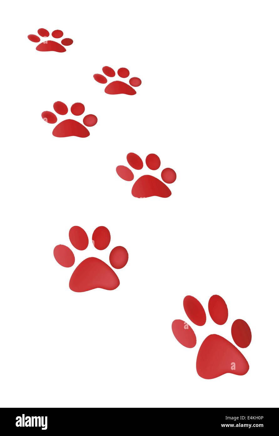 Rot Luchs High Resolution Stock Photography And Images Alamy