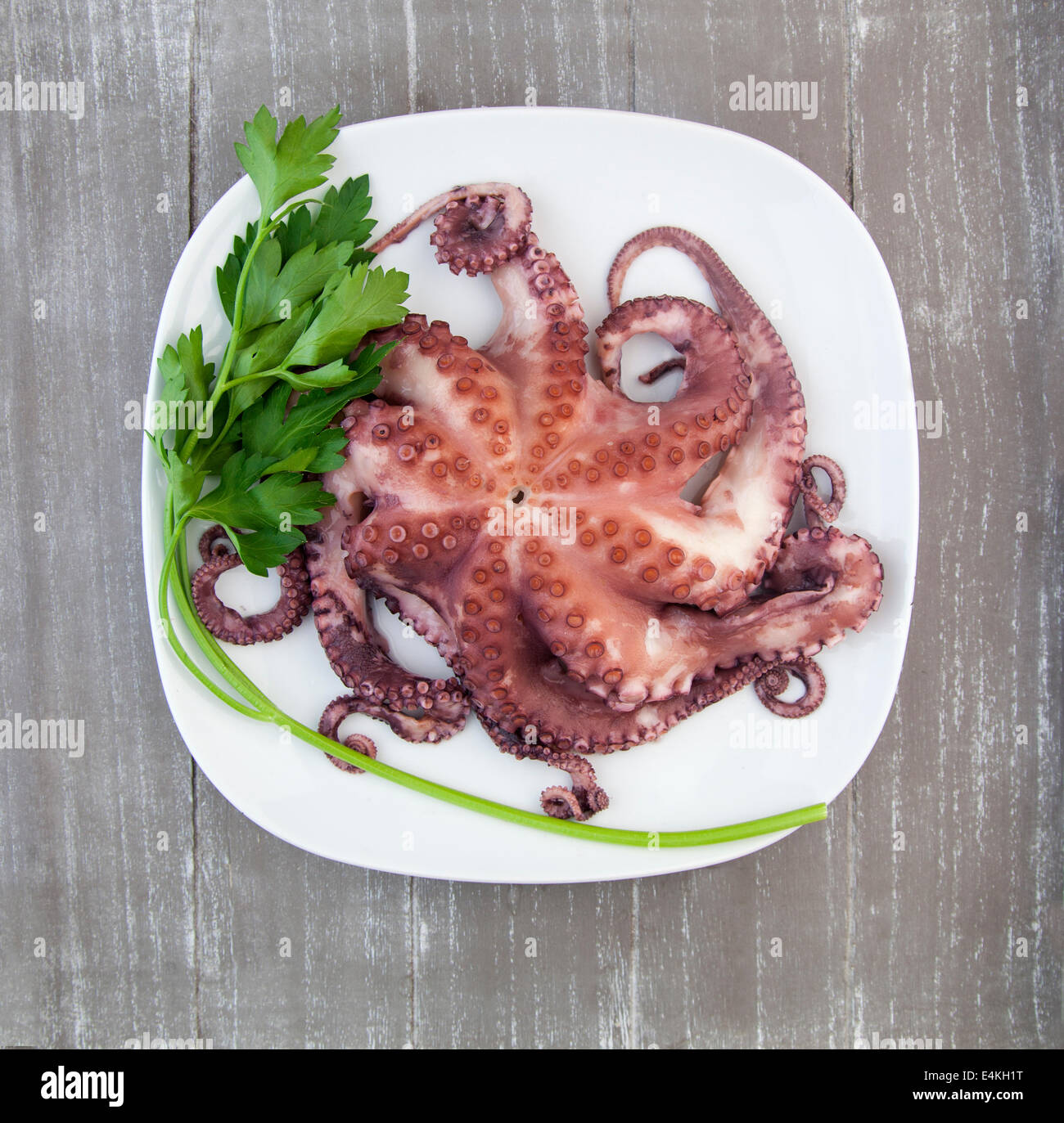 Octopus and parsley leaves on a plate Stock Photo