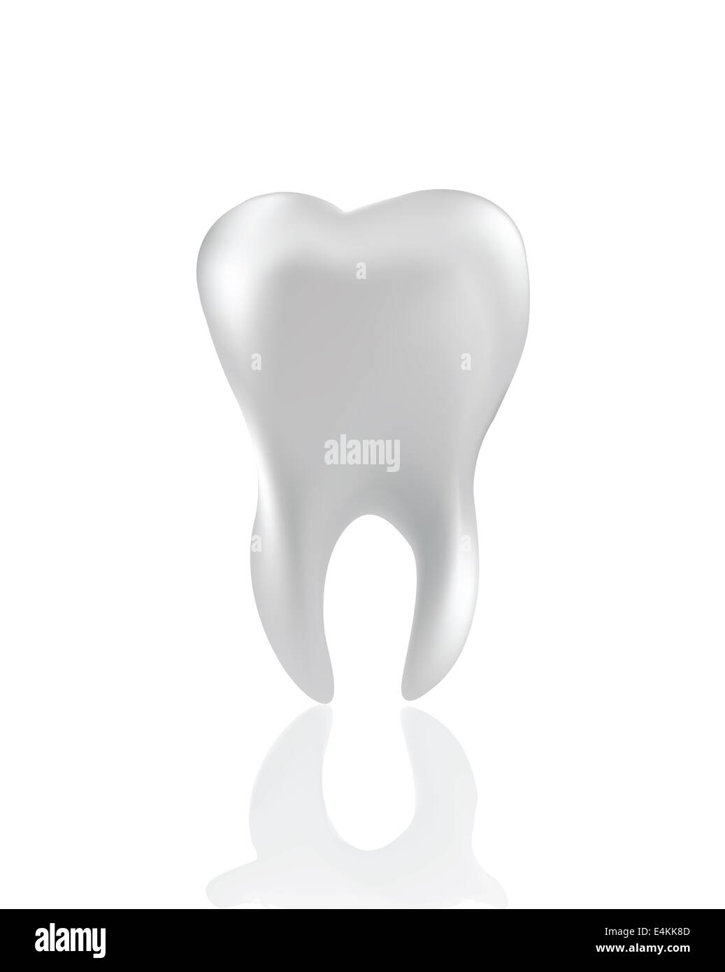 Tooth  Isolated on white Stock Photo