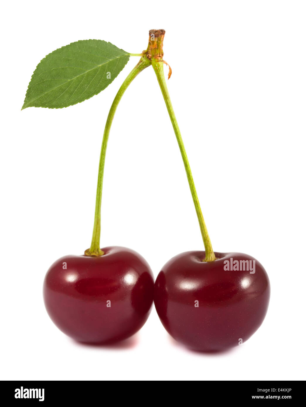 Vertical closeup two cherries hi-res stock photography and images - Alamy