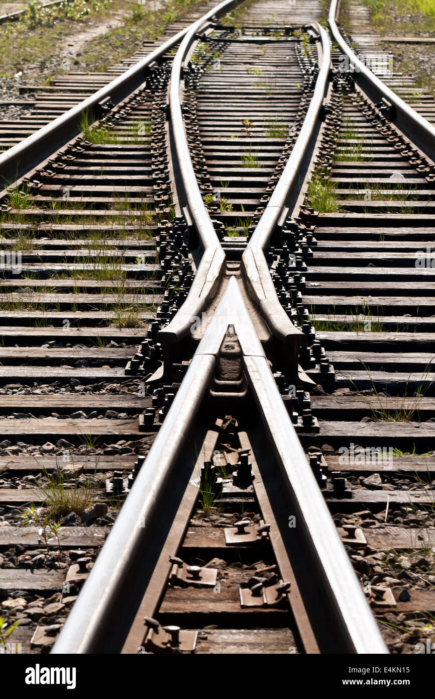 grass between on the railway Stock Photo - Alamy