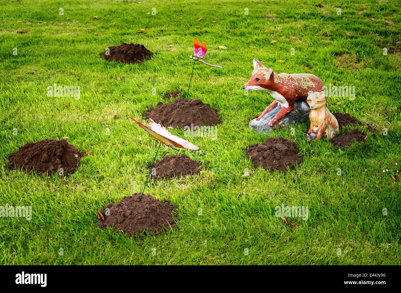 Molehills on lawn with ornamental fox and cub adding commentary on the disturbance Stock Photo