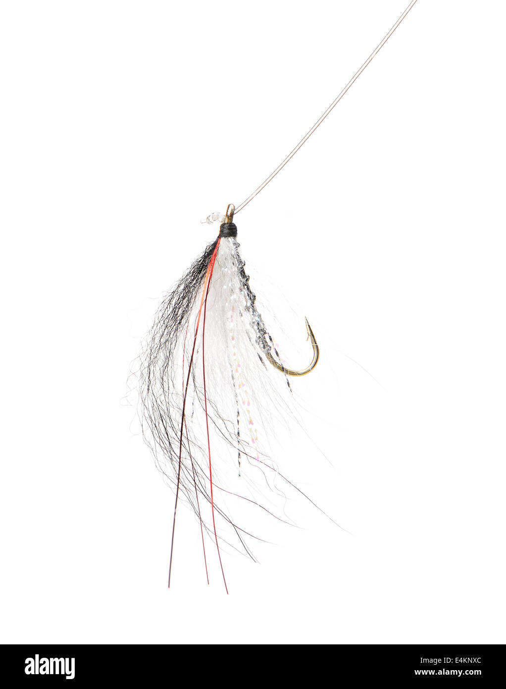 Fly fishing lure Stock Photo Alamy
