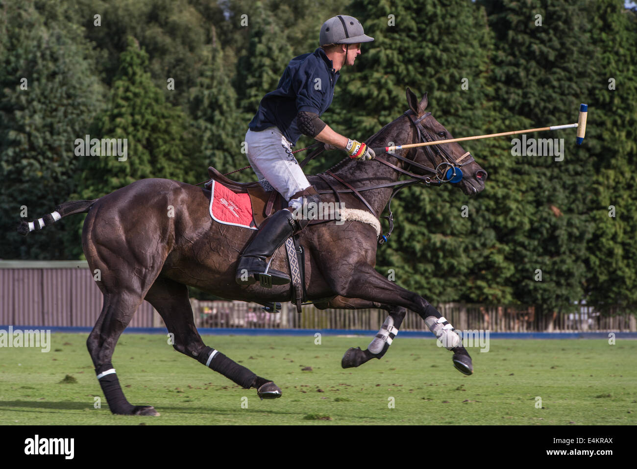 Polo at Windsor Guards club Stock Photo