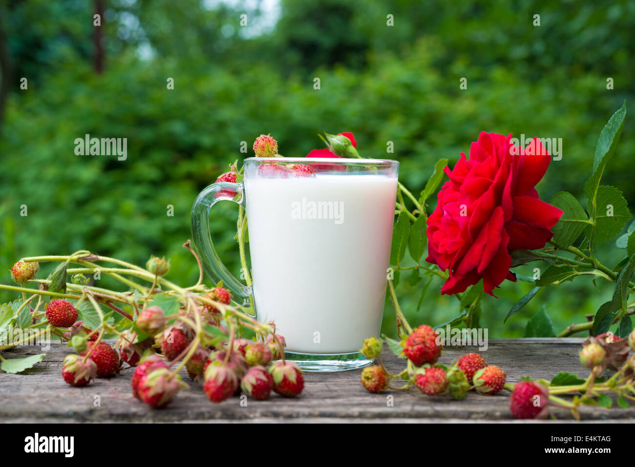 Cup of milk and fresh strawberries Stock Photo