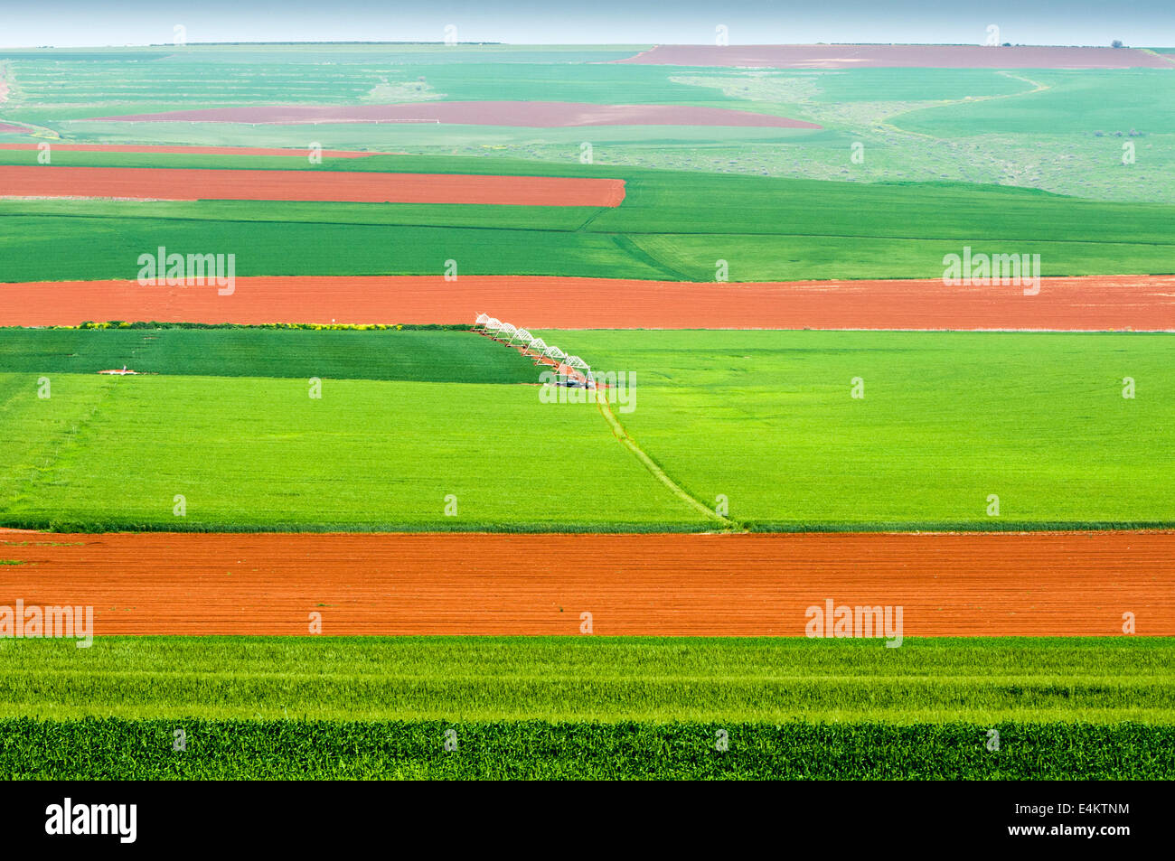 elevated view of fertile agricultural land Stock Photo