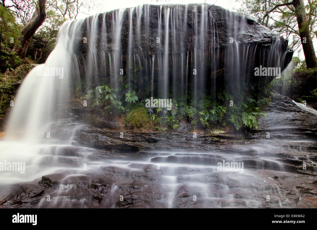 a close view of Weeping Falls at Wentworth Falls, Australia Stock Photo