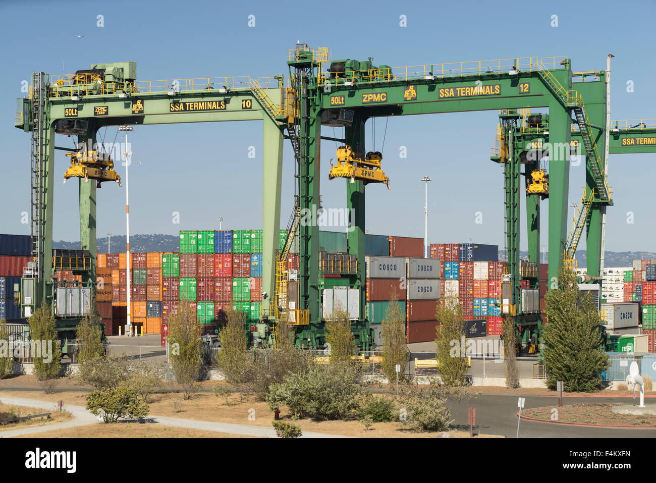 Cargo loading cranes and shipping containers at the Port of Oakland