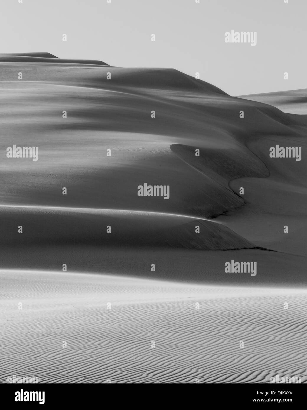 sand dunes in black and white Stock Photo