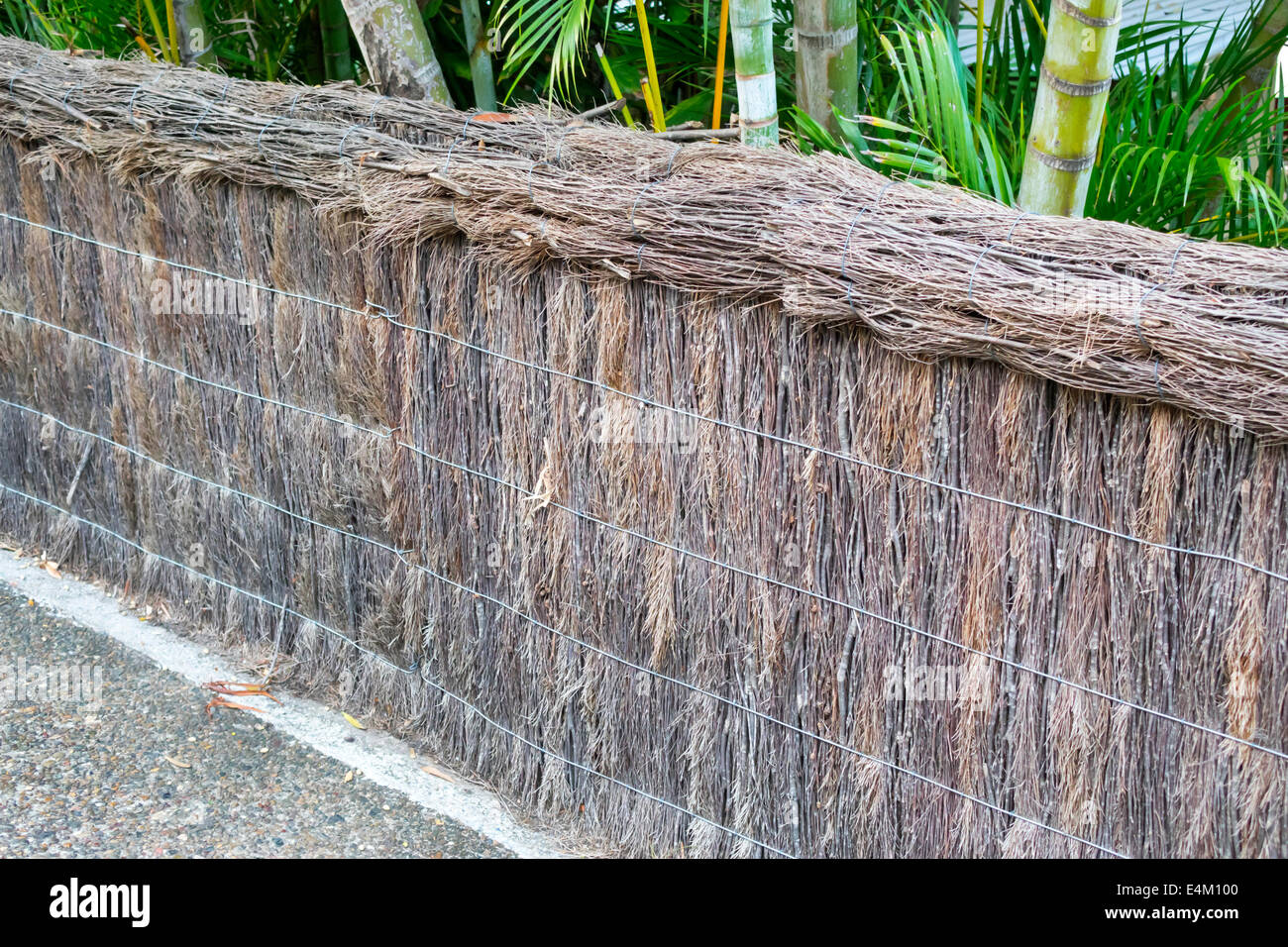 Brisbane Australia,Queensland University of Queensland,campus,wall,fence,recycled,branches,dead,repurposed,visitors travel traveling tour tourist tour Stock Photo