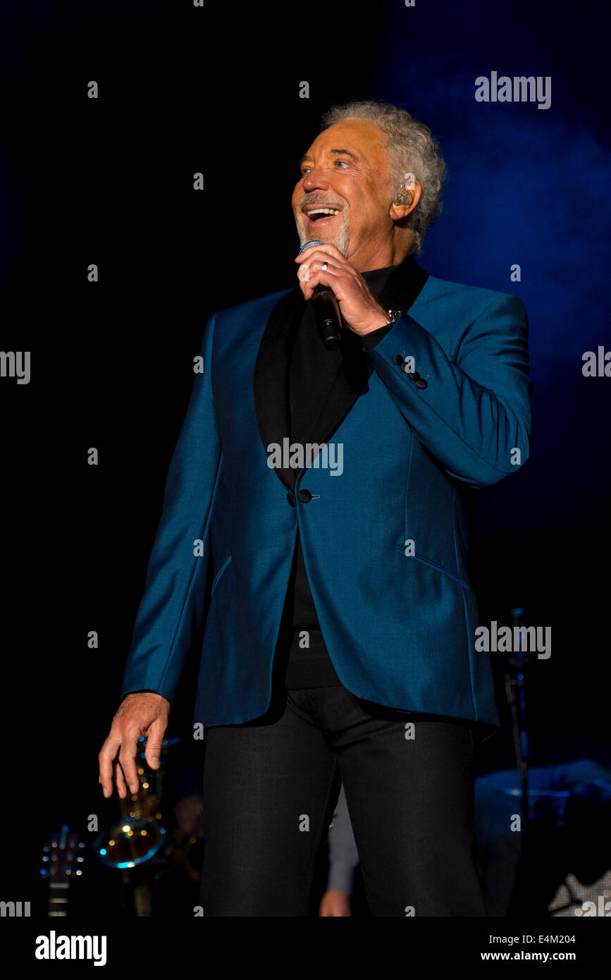 Welsh singer Tom Jones on stage at Chepstow Racecourse Stock Photo Alamy