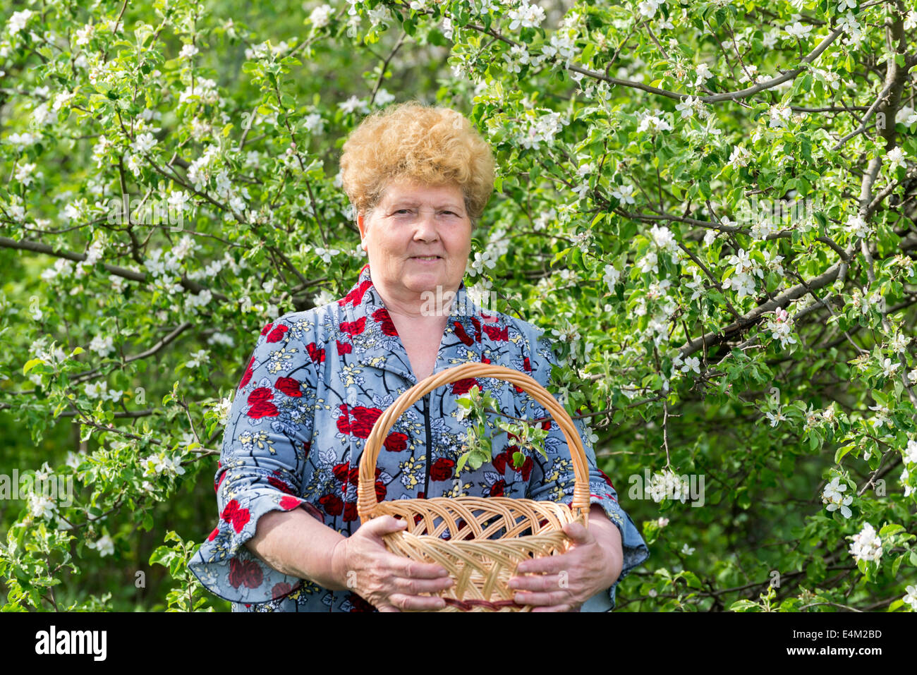 Mature woman with wicker basket in the spring garden Stock Photo