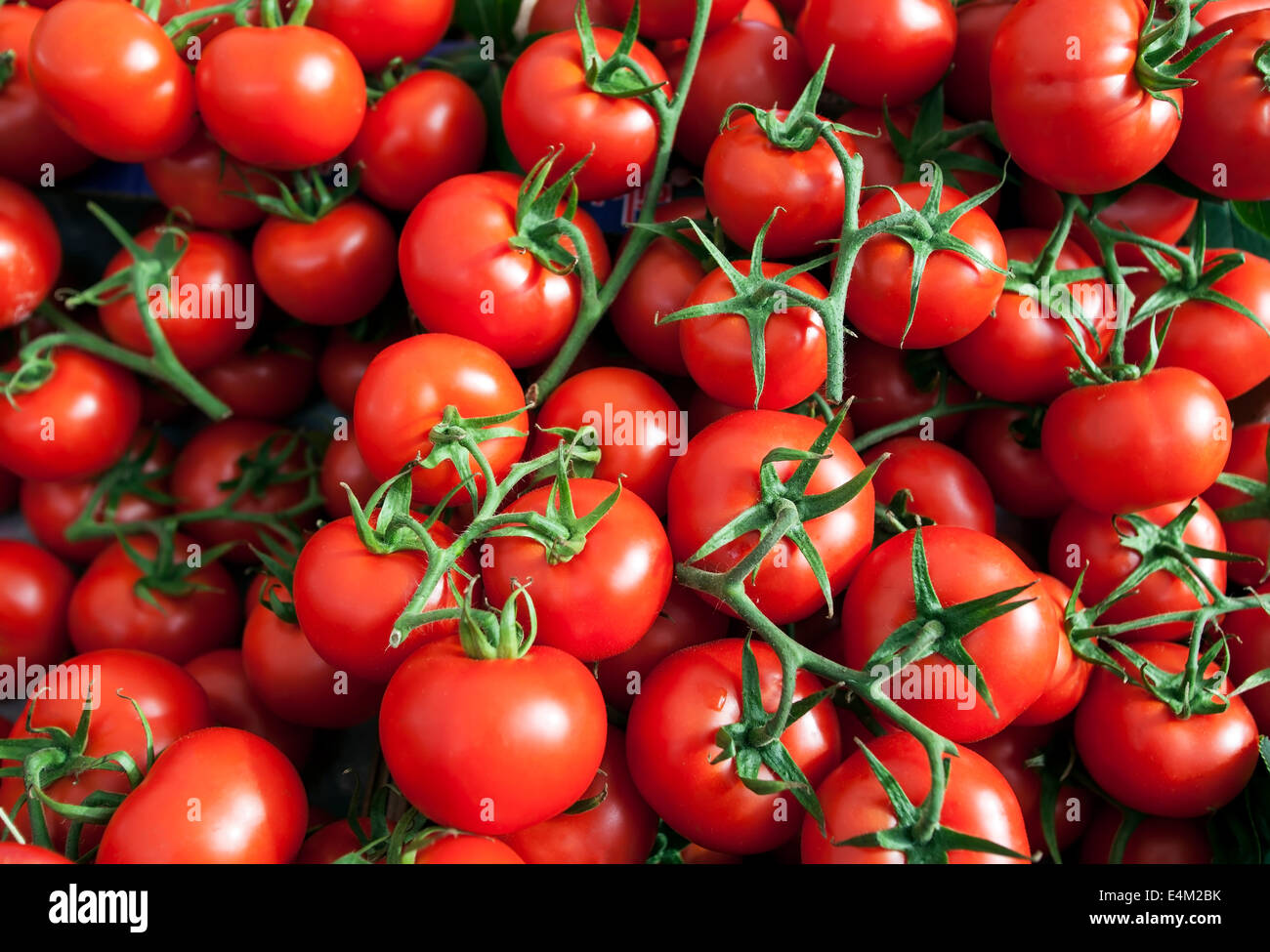 background with fresh red tomatoes in market Stock Photo - Alamy