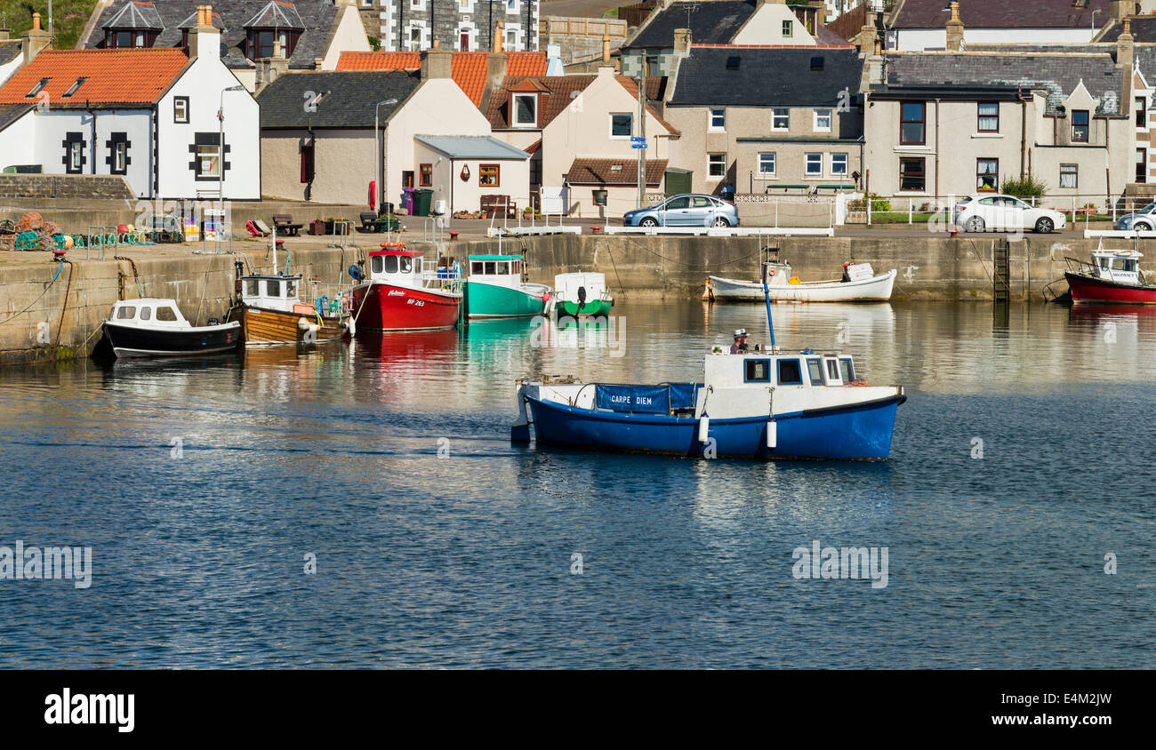 BLUE CRAB OR LOBSTER BOAT SAILING INTO FINDOCHTY HARBOUR MORAY COAST SCOTLAND Stock Photo