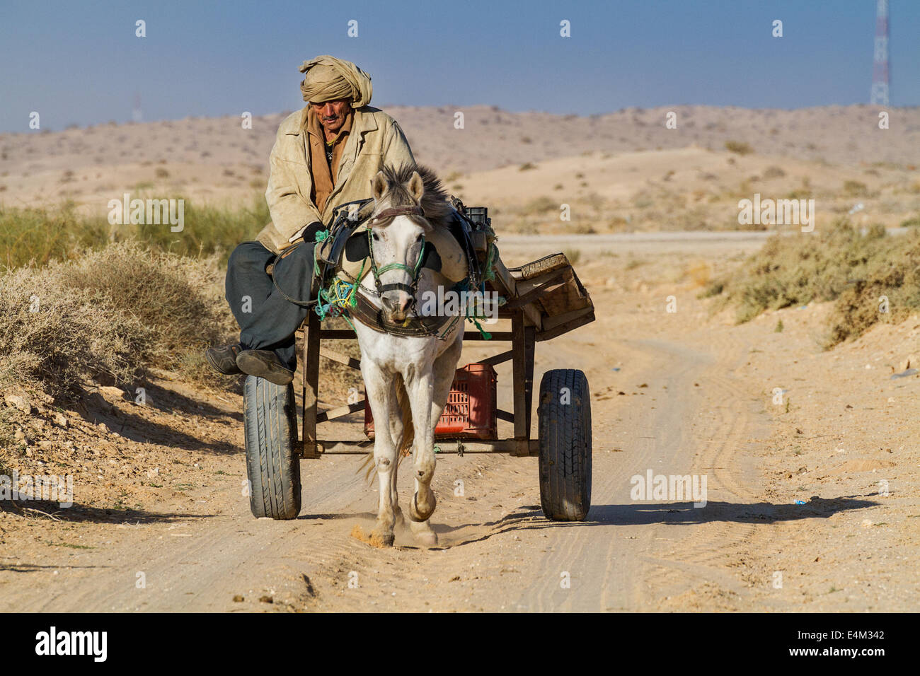 Traditional transportation in the desert south of Tozeur Stock Photo