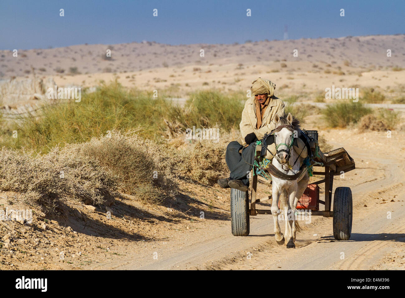 Traditional transportation in the desert south of Tozeur Stock Photo