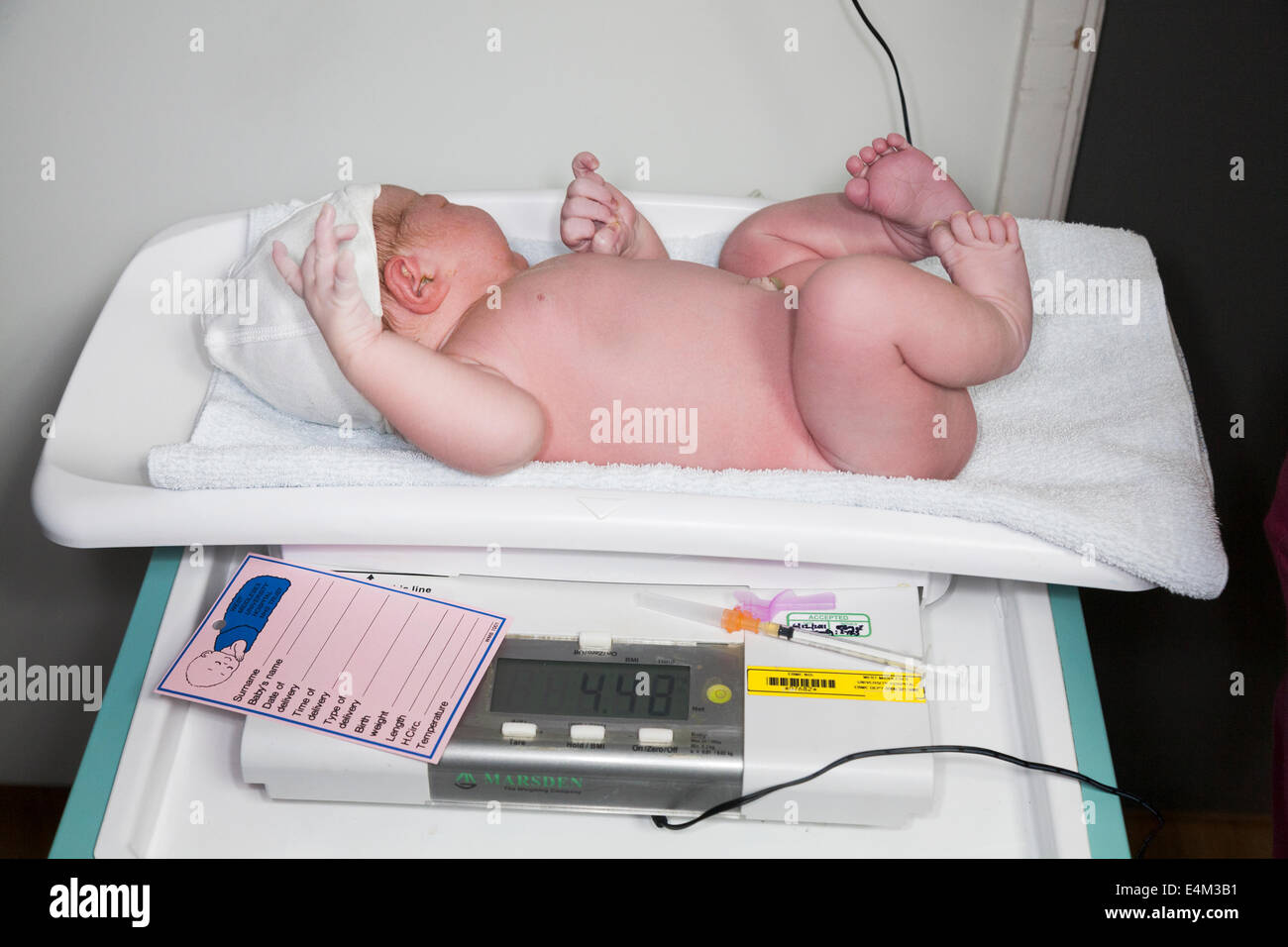 Weighing a newborn / new born baby with weighing scales / scale soon after childbirth / giving birth in an NHS hospital. Stock Photo