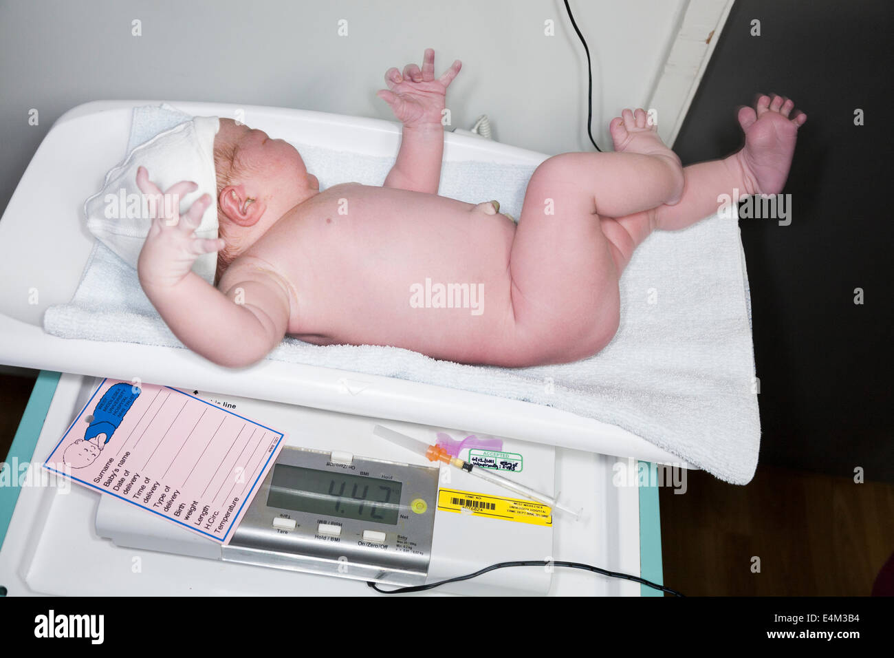 Weighing a newborn / new born baby with weighing scales / scale soon after childbirth / giving birth in an NHS hospital. Stock Photo