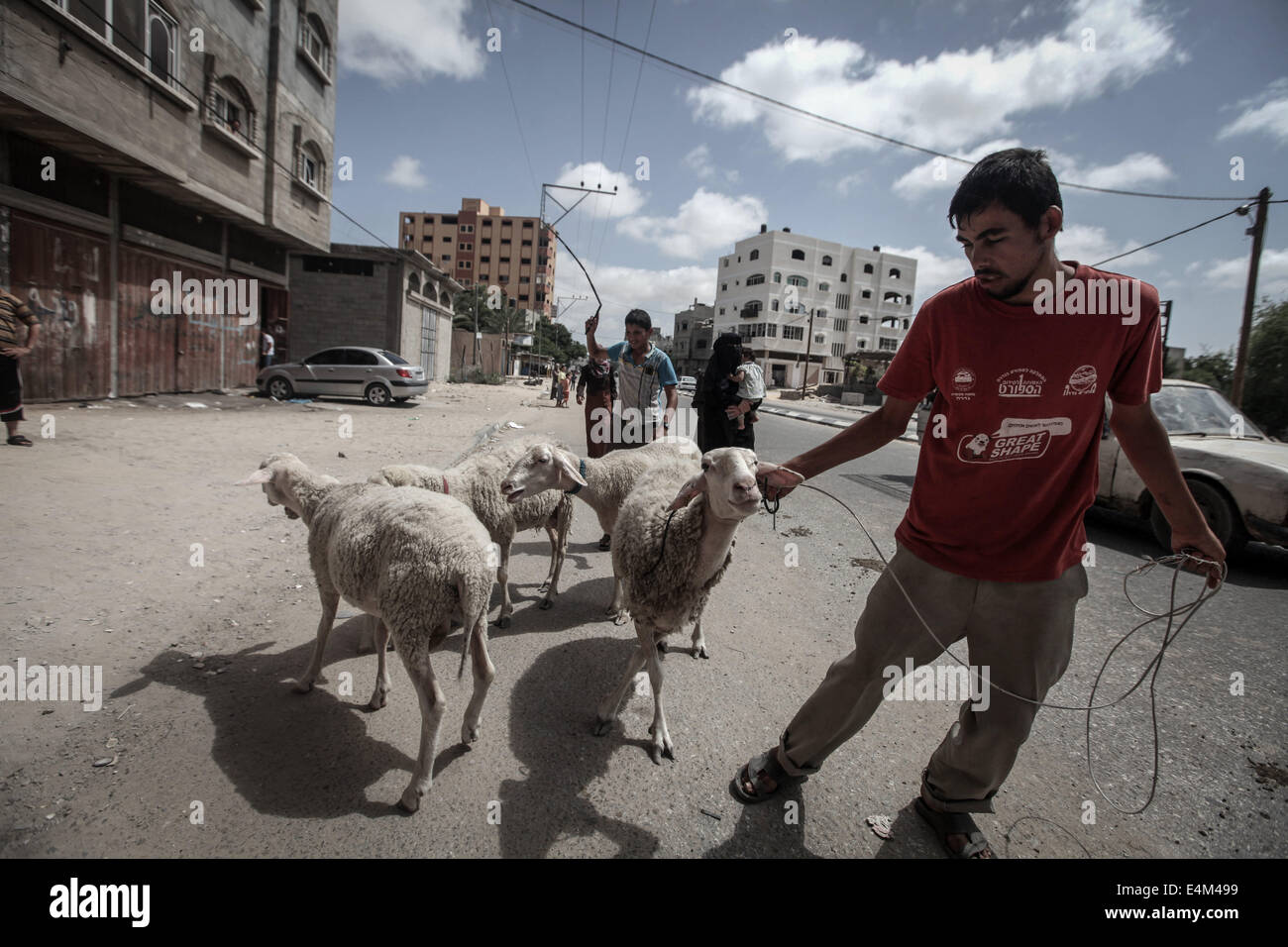 Gaza, Palestinian Territories. 13th July, 2014. A Palestinian man drives sheep, on July 13, 2014, in Gaza. Israeli marines mounted a first ground assault on Gaza, further escalating a deadly six-day offensive hours after the UN Security Council unanimously called for a ceasefire. Credit:  Momen Faiz/NurPhoto/ZUMA Wire/Alamy Live News Stock Photo