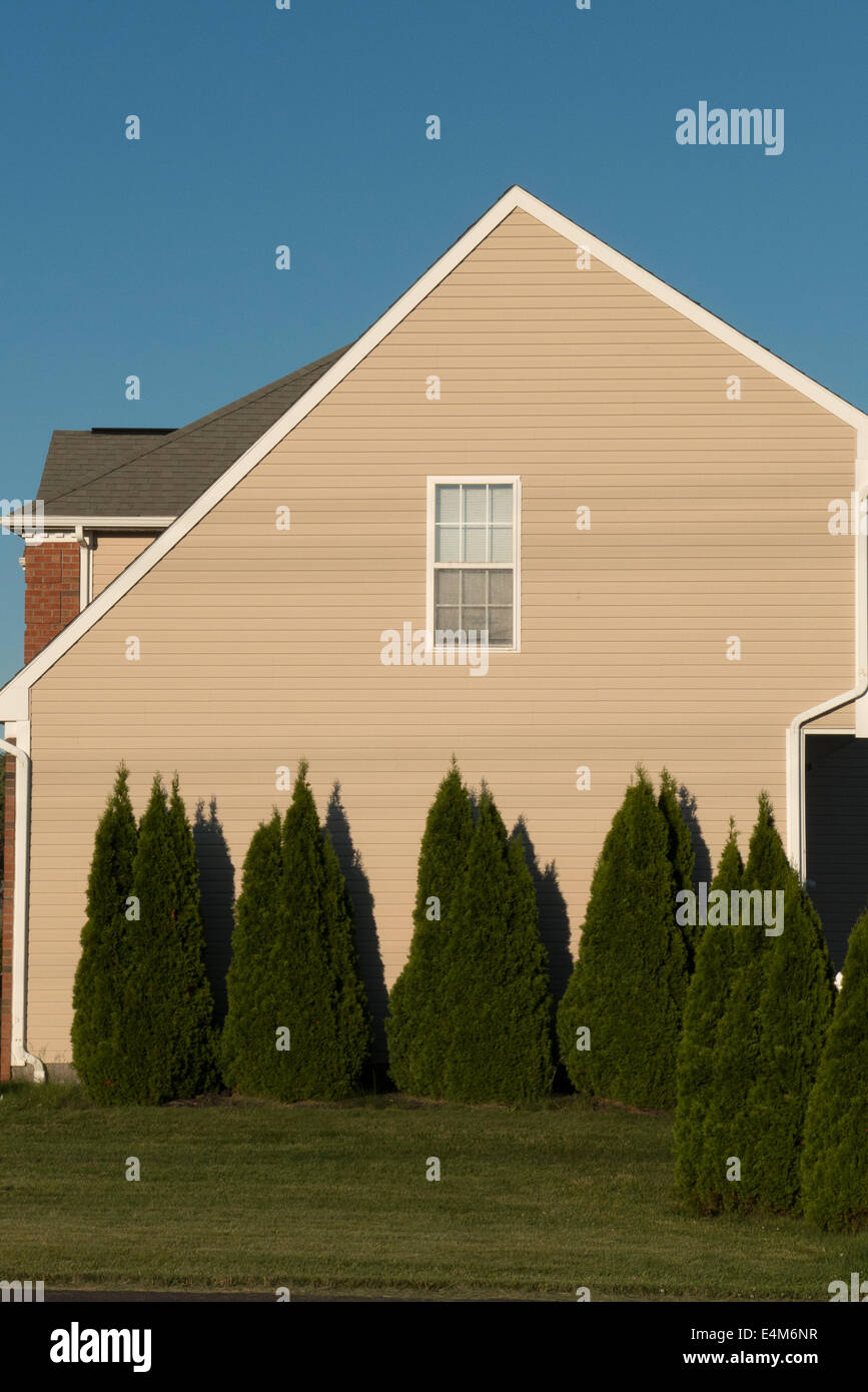 Side of new home with shrubs. Stock Photo