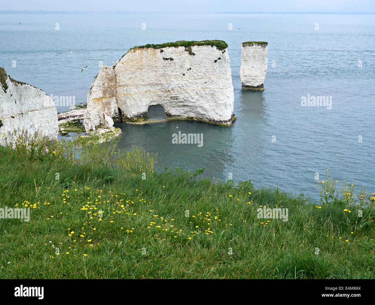Old Harry Rocks, Handfast Point, Jurassic Coast, Dorset Stock Photo