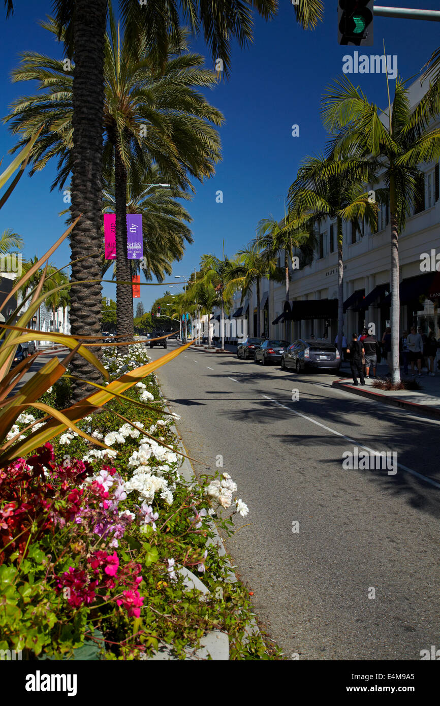 Palm trees on Rodeo Drive, luxury shopping street in Beverly Hills, Los