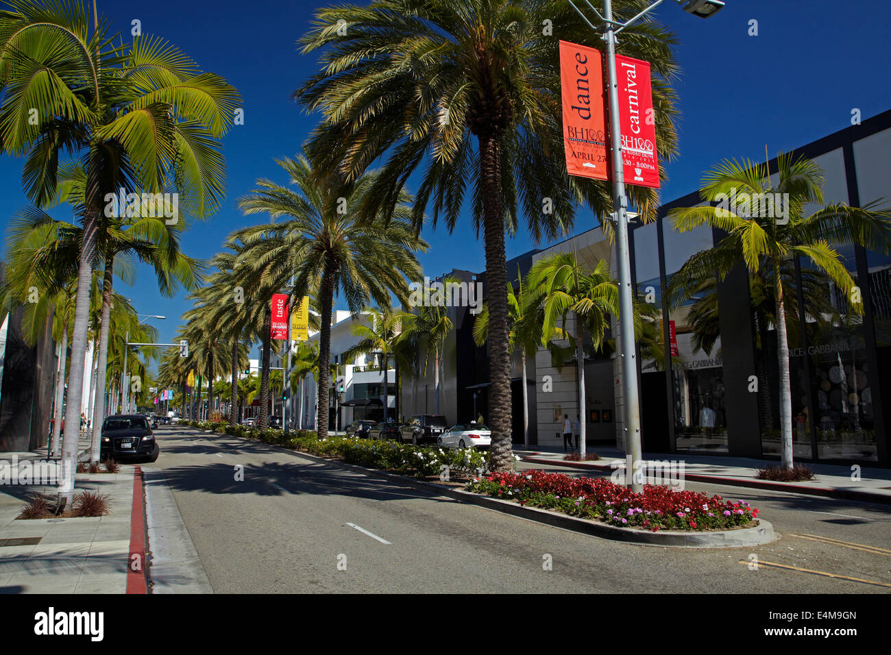 Palm trees on Rodeo Drive, luxury shopping street in Beverly Hills, Los Angeles, California, USA Stock Photo