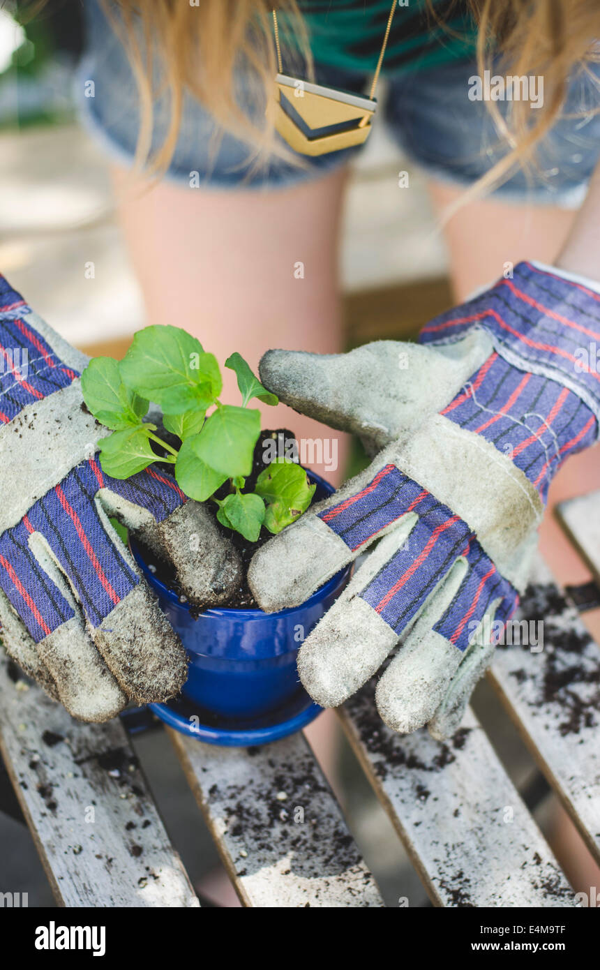 Young Woman's Gloved Hands Placing Plant and Soil into Ceramic Pot Stock Photo