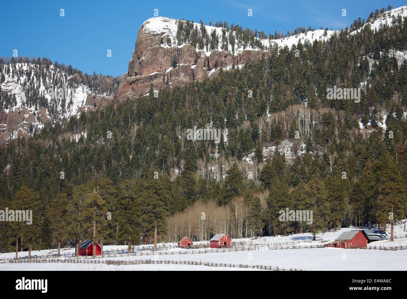 Beautiful winter scene of snow and red barns on a farm in the Rocky Mountains in Colorado. Stock Photo
