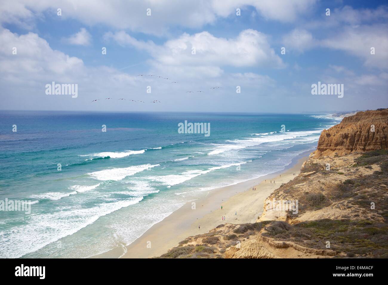 Aerial view from a paraglider over the beach at Torrey Pines State Reserve in La Jolla, California Stock Photo