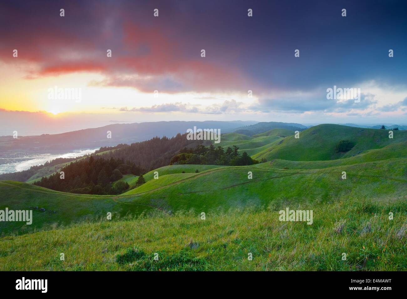 Sunset on Bolinas Ridge, Mt. Tamalpais State Park, Marin County, California, in spring. Stock Photo