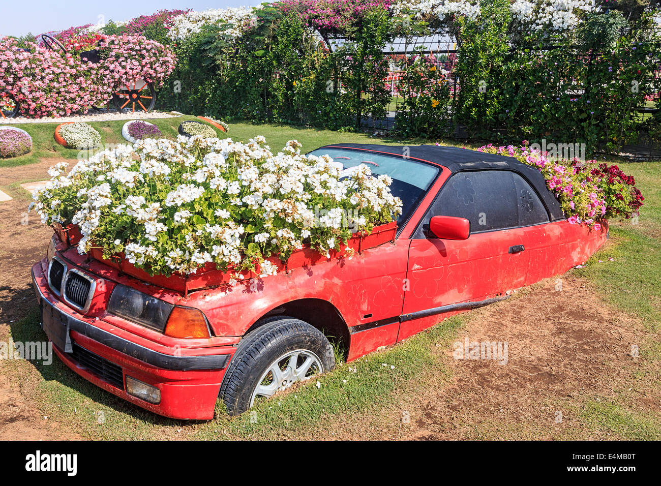 Car covered in flowers at Dubai's Miracle Garden, largest natural