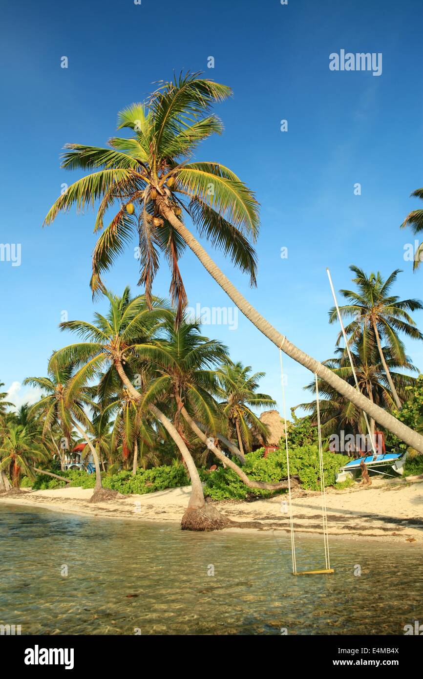 Beach scene in Ambergris Caye, Belize, in the Caribbean Sea Stock Photo