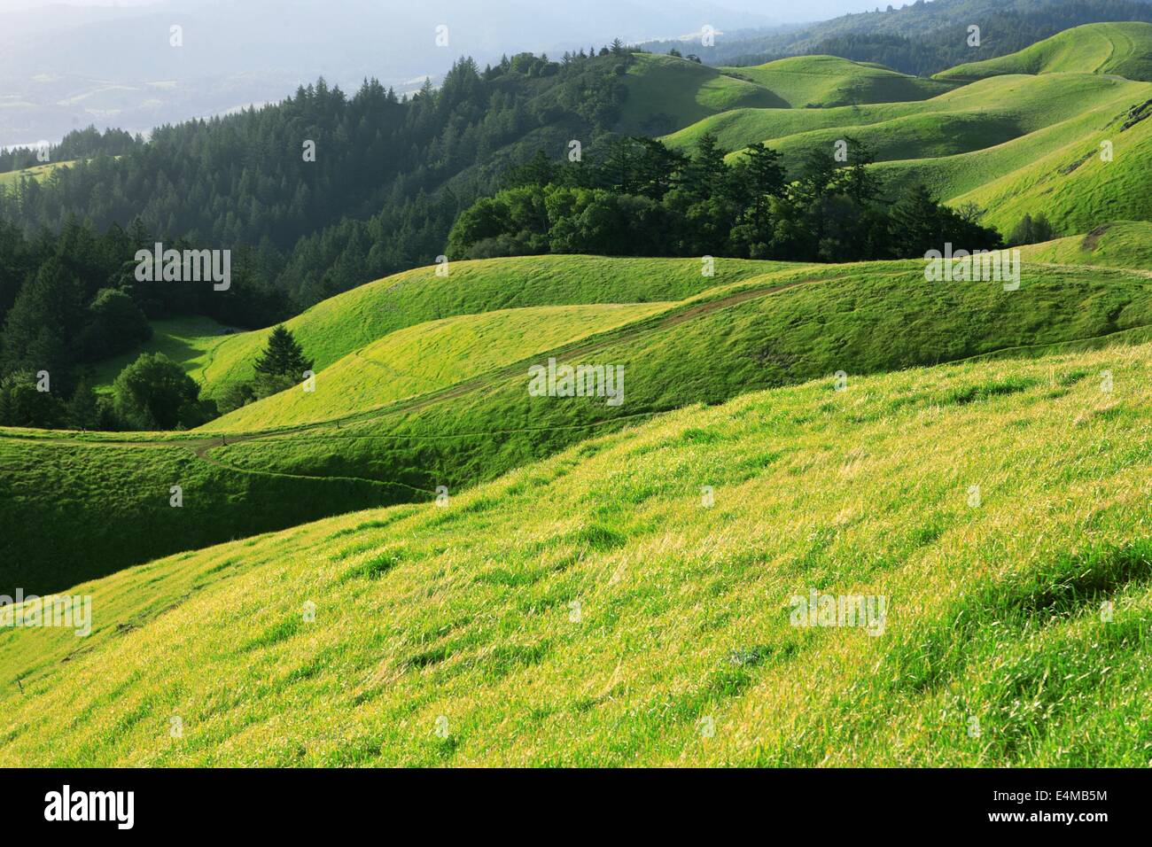 Spring sunset on the hills of West Marin County, California Stock Photo