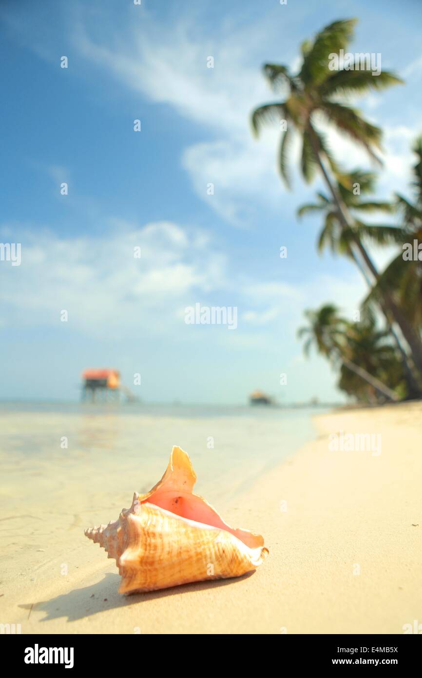 Beach scene in Ambergris Caye, Belize, in the Caribbean Sea Stock Photo