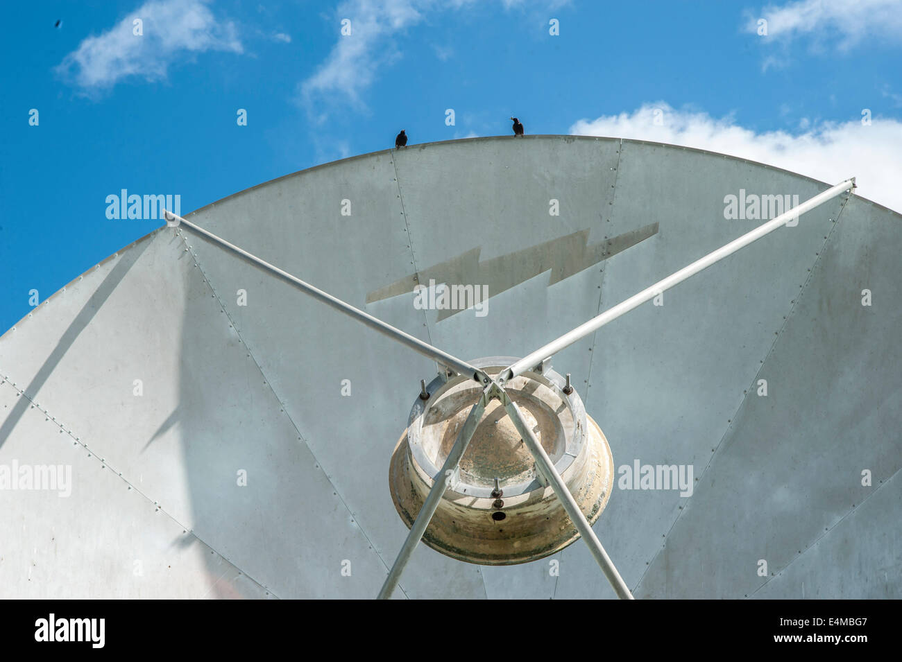 Birds atop satellite receiver dish Stock Photo
